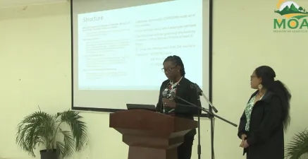 Saint Lucian and Micronesian participants shared insights on their island’s blue economy strategies during the exchange
