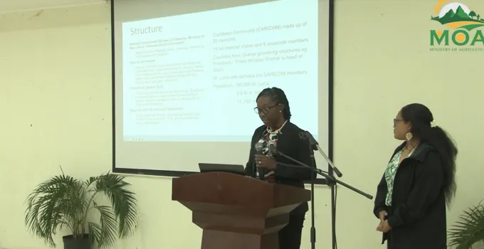 Saint Lucian and Micronesian participants shared insights on their island’s blue economy strategies during the exchange